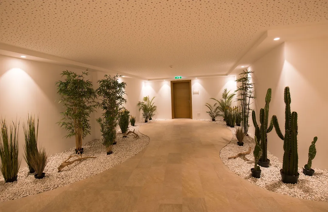 Hotel Dasmei-1
